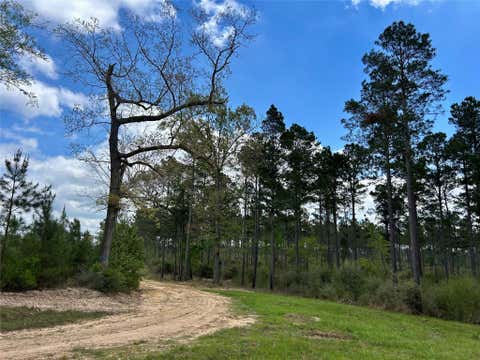Vacant Land For Sale - 000 Naa<br/> Alto, TX 75925