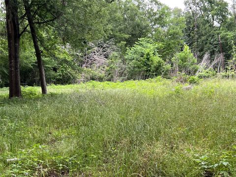 Photo of 1015 Smith Street, Coldspring, TX 77331 (MLS # 70671256)