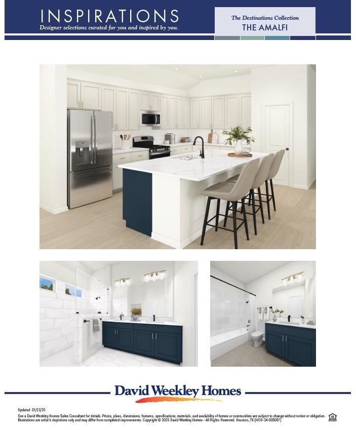 16303 Blue Mistflower Lane