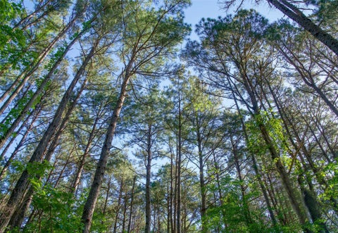 Photo of 0 Hwy 315, Mount Enterprise, TX 75681 (MLS # 83298457)