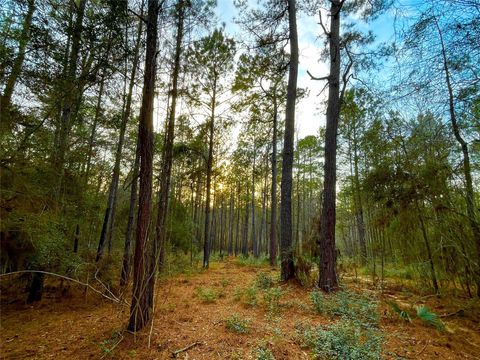 Photo of 1 Texas Grand Road, Huntsville, TX 77340 (MLS # 80794035)