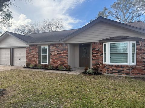 17511 Heritage Cove Drive Webster TX 77598