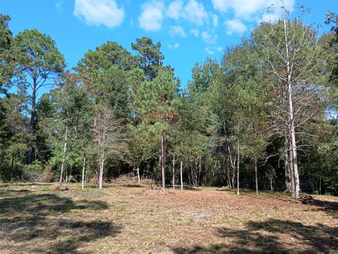 Photo of 240 Sir Pellias Drive, Ivanhoe, TX 75979 (MLS # 5958438)