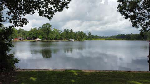Photo of 0 Charmaine Drive E, Woodville, TX 75979 (MLS # 4289693)