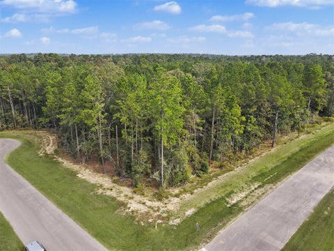 Photo of 25210 Chisos Bend, Montgomery, TX 77316 (MLS # 2424410)