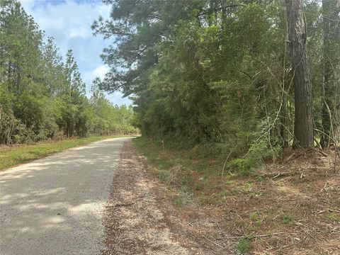 Photo of TBD Cr 3114, Buna, TX 77612 (MLS # 26024154)