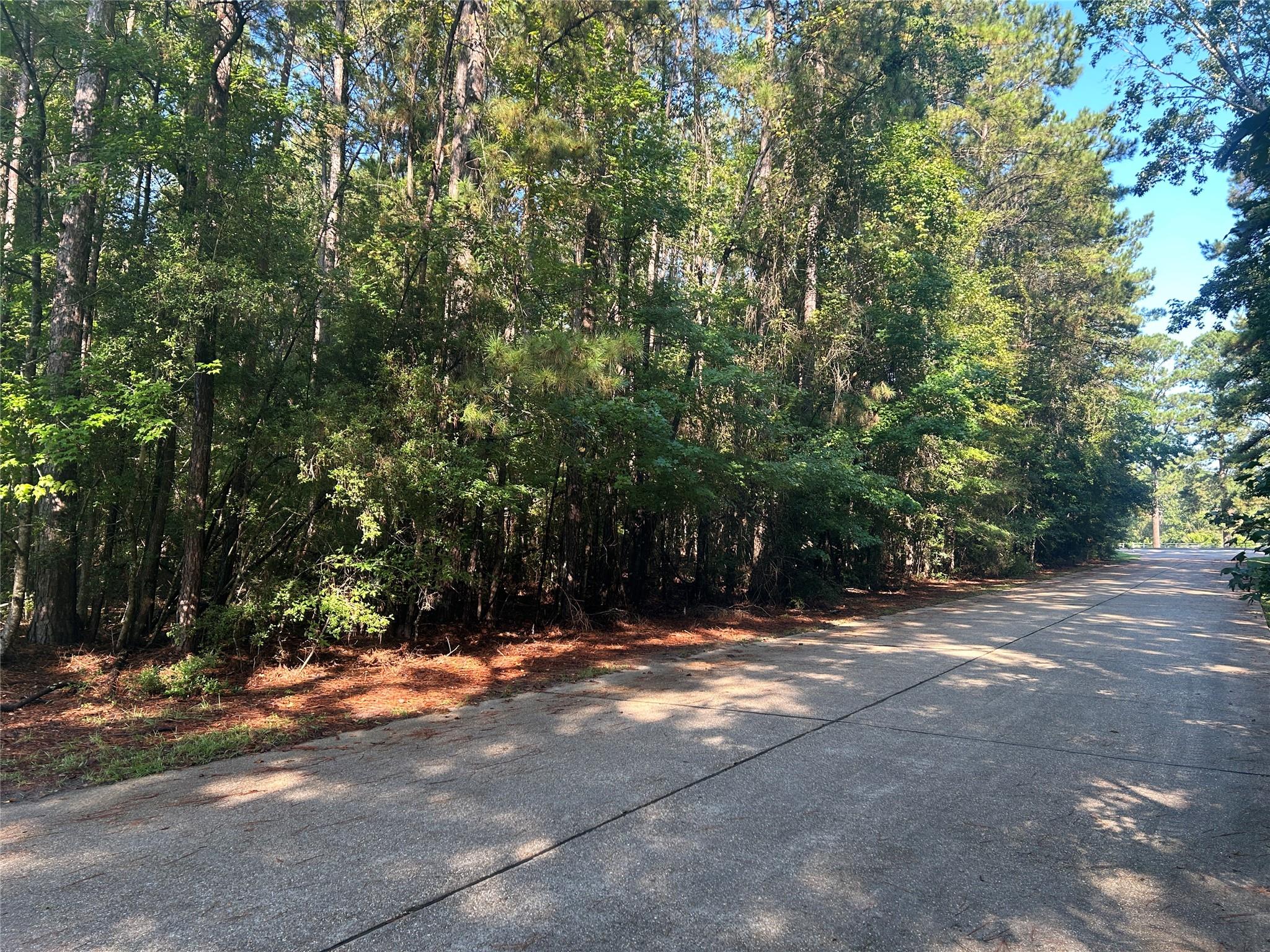 LOT 16 Force Street