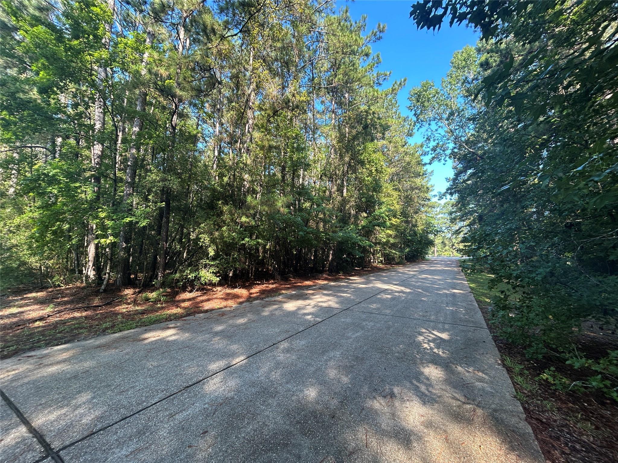 LOT 16 Force Street