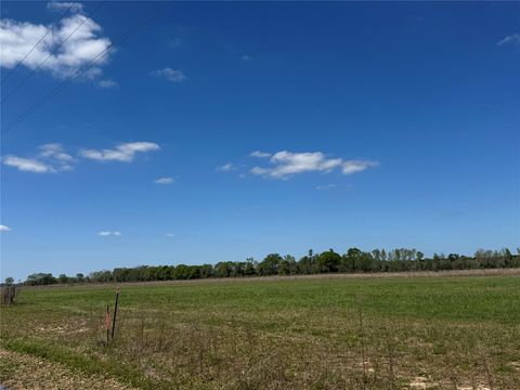 Photo of 590 County Road 2278, Cleveland, TX 77327 (MLS # 73155671)