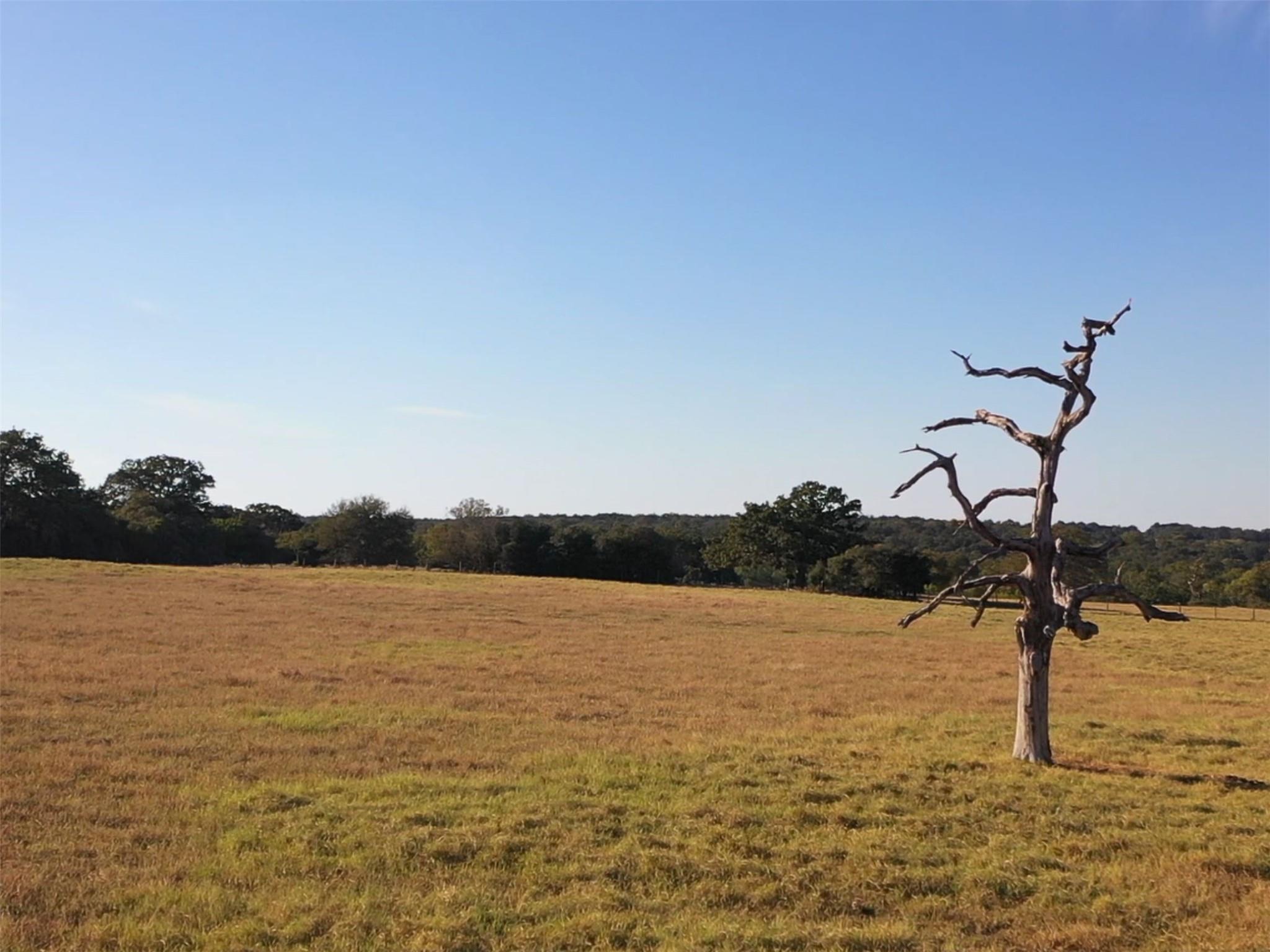 6014 County Road 333