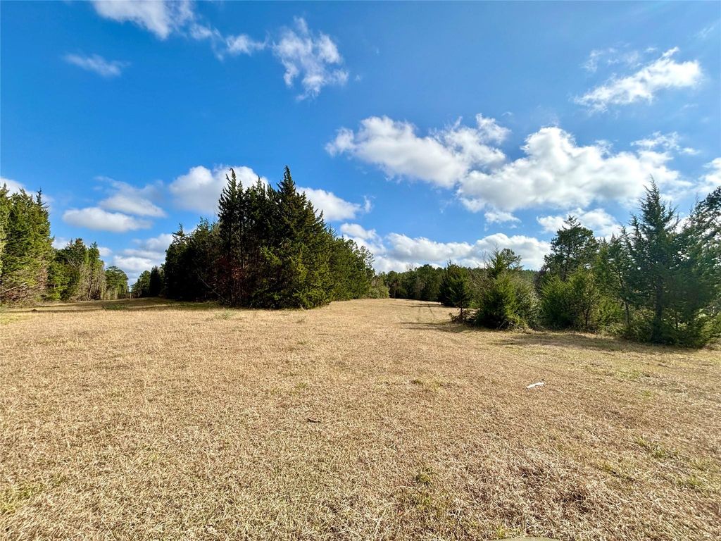 Photo of 235 Private Road 6912, Colmesneil, TX 75938 (MLS # 39234153)