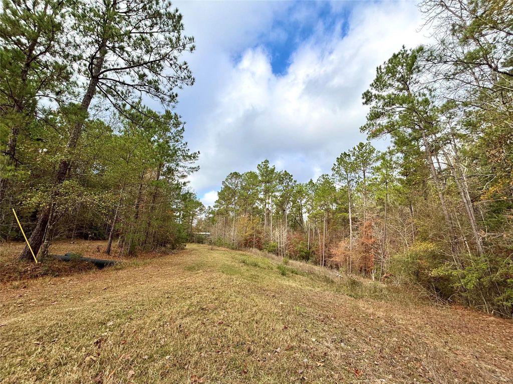Photo of 235 Private Road 6912, Colmesneil, TX 75938 (MLS # 39234153)