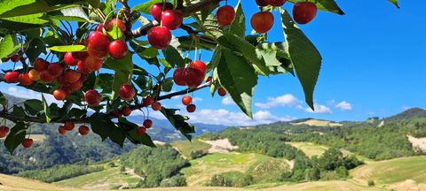 25 Via Modiglianese 25–27–29 Ex Località Ridianello 5  IN 47019