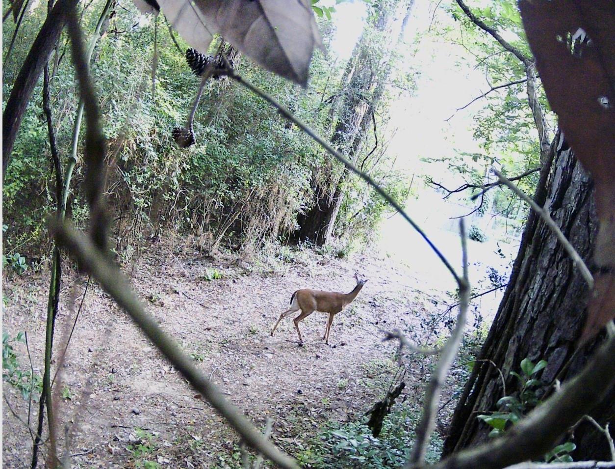 000 St Lawrence River Rd