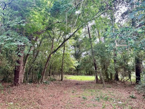 Photo of 0 St Lawrence River Rd, Conroe, TX 77316 (MLS # 86204167)