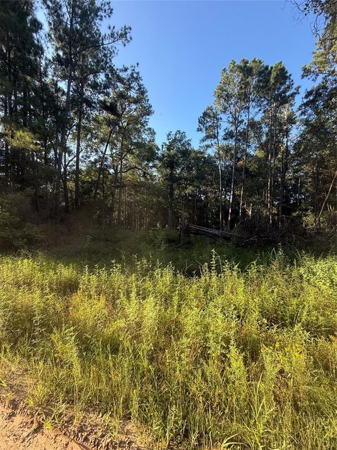 Photo of TBD Charlie Pride Drive, Livingston, TX 77351 (MLS # 43014757)