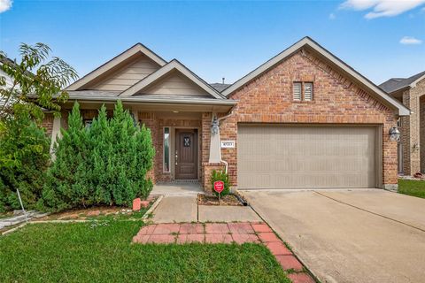 Photo of 10723 Clear Arbor Lane, Houston, TX 77034 (MLS # 60575573)