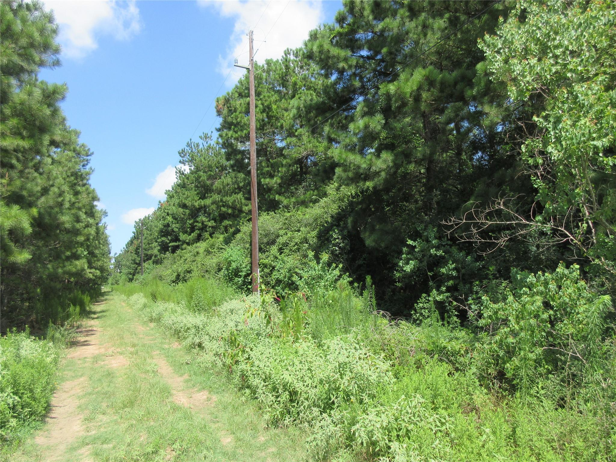 00 Thistle Down Spur Road