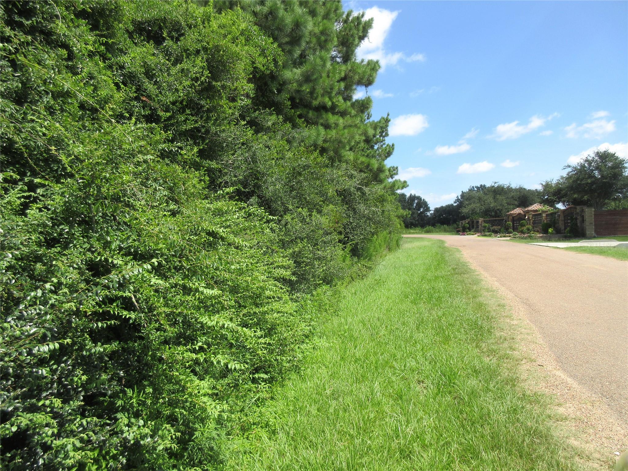 00 Thistle Down Spur Road