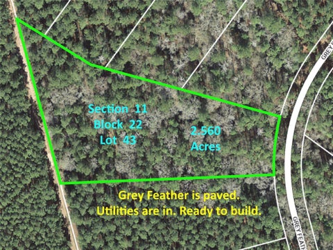 Vacant Land For Sale - 215 Grey Feather Road<br/> Huntsville, TX 77340