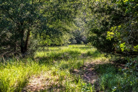 Photo of 9808 Fm-908, Caldwell, TX 77836 (MLS # 77399614)