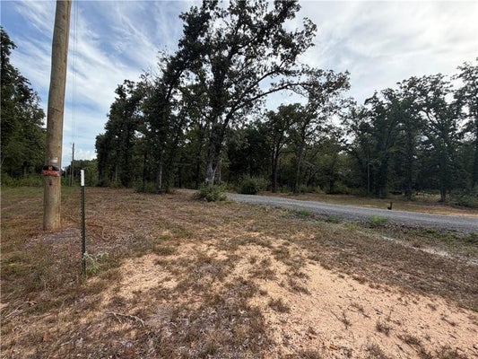 PR BR, JEWETT, TX 75846 - Image 8e1af1f85e33ca11dbbc62ce8f08bcea/2062073960