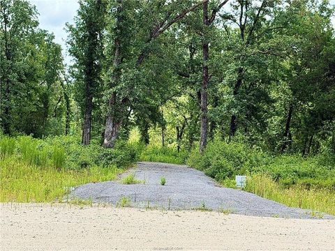 Photo of 6353 Pr 3443, Marquez, TX 77865 (MLS # 66797392)