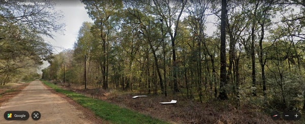 TBD NEUMANN STREET, COLDSPRING, TX 77331 - Image 8e2125de20e2b60e6150fb89f45f9e8a/3486159265