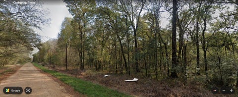 Vacant Land For Sale - TBD Neumann Street<br/> Coldspring, TX 77331