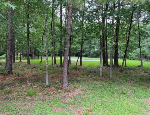 Photo of 11455 Lake Oak Drive Dr, Montgomery, TX 77356 (MLS # 18191754)