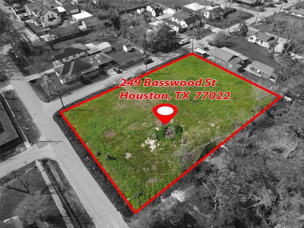 Photo of 249 Basswood Street, Houston, TX 77022 (MLS # 81750060)