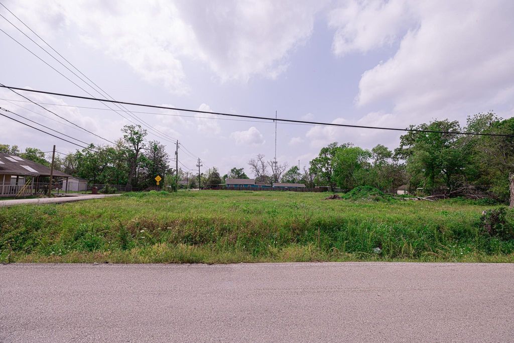 Photo of 249 Basswood Street, Houston, TX 77022 (MLS # 81750060)