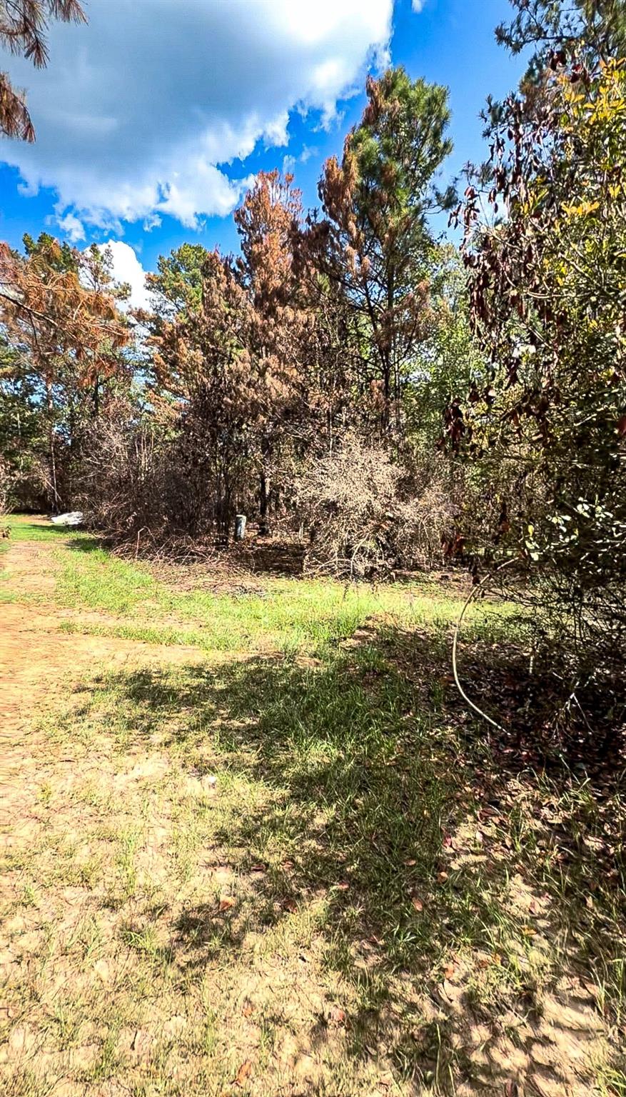 601 Oak Ridge Road
