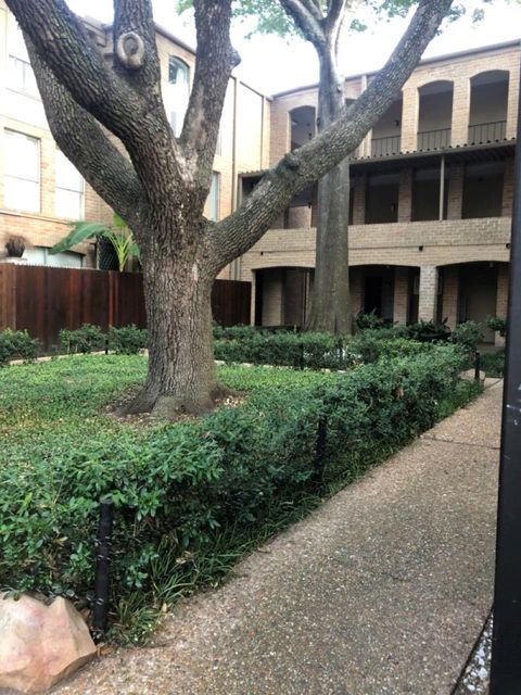 Photo of 4641 Wild Indigo Street #439, Houston, TX 77027 (MLS # 60236049)
