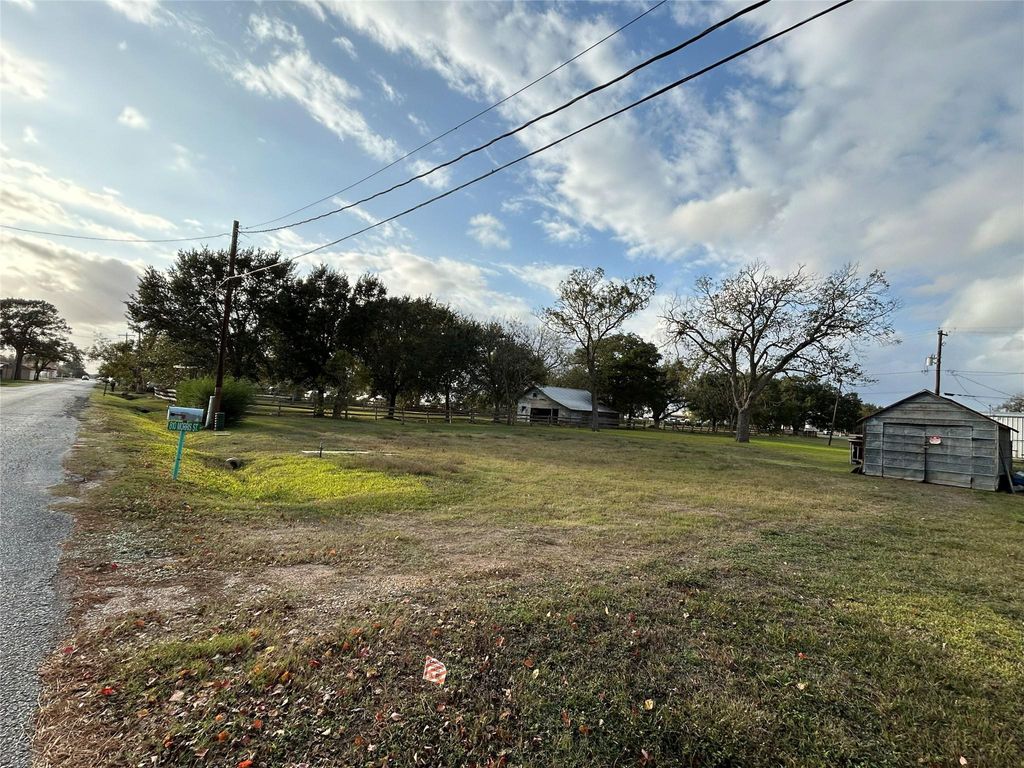 Photo of 810 Morris Street, East Bernard, TX 77435 (MLS # 6546409)