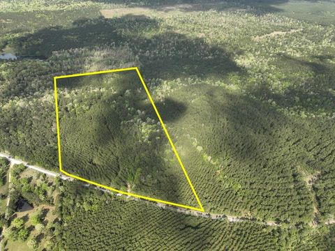 Vacant Land For Sale - 2 Cr 4280<br/> Tyler County, Woodville, TX 75979