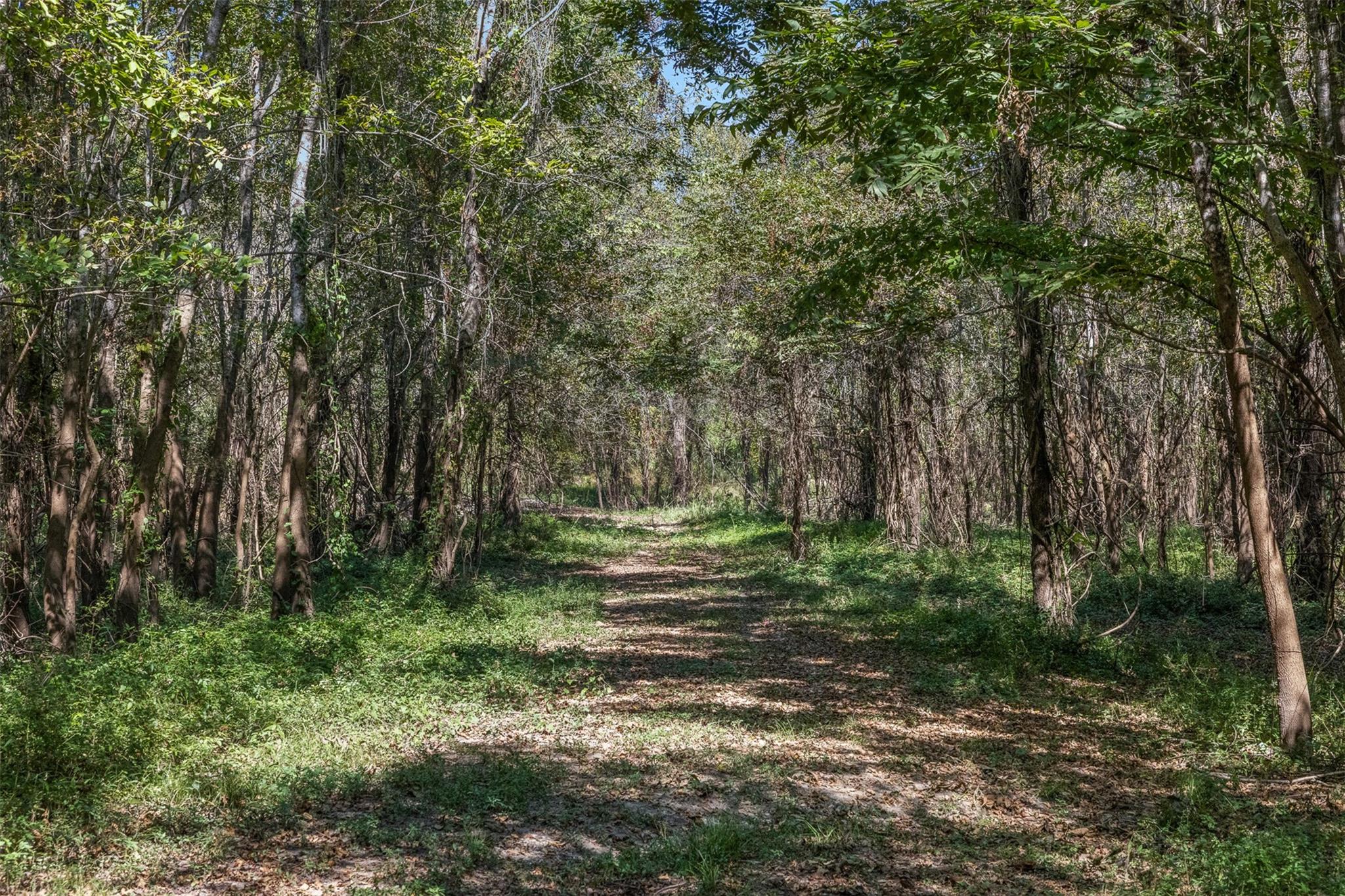 TBD (+/-69.227 Acres) St Hwy 21 E