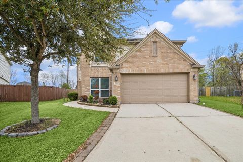 15642 S Fall Fern Cir Houston TX 77044