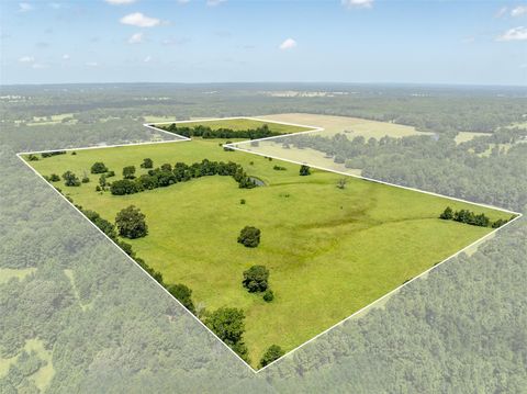 Vacant Land For Sale - 1044 Acr 379<br/> Anderson County, Palestine, TX 75801