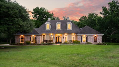 Photo of 32403 Waterhouse Court, Fulshear, TX 77441 (MLS # 6937679)