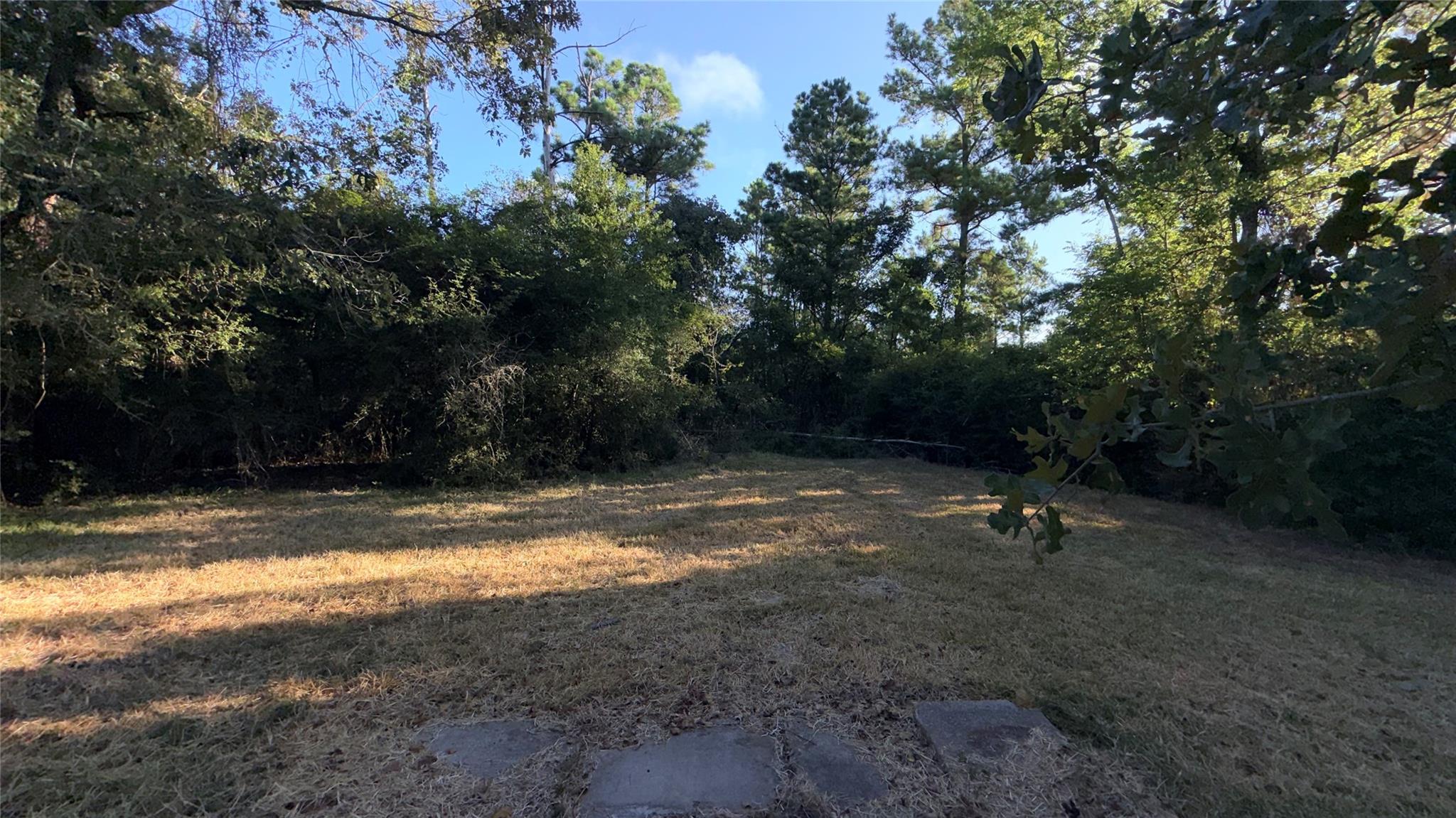 192 Cottonwood