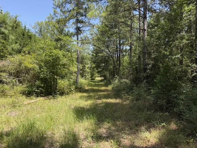 0000 Jones Road