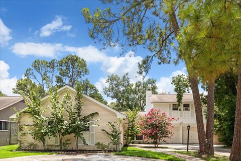 10607 Longmont Drive Houston TX 77042