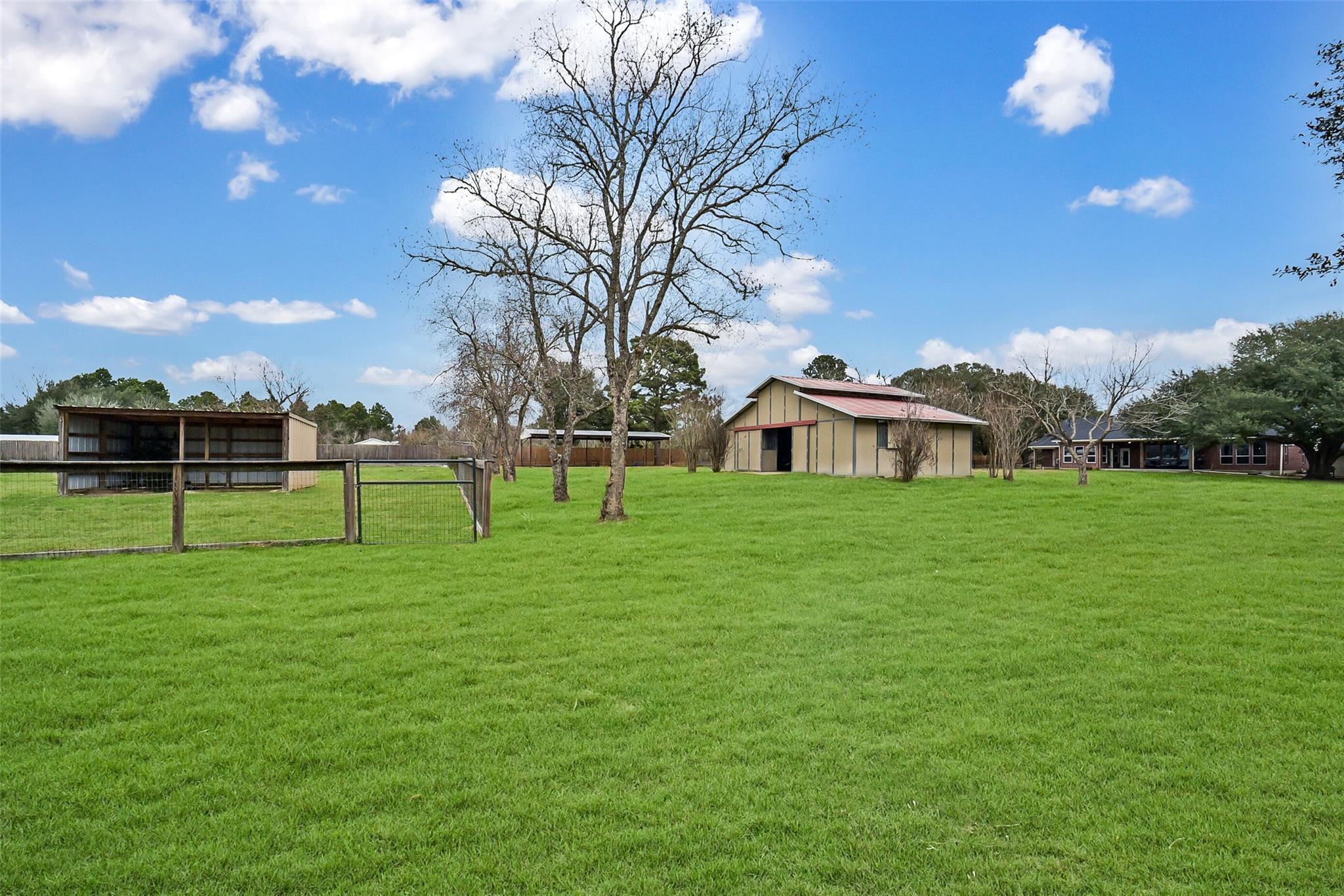 19407 Pine Tree Lane