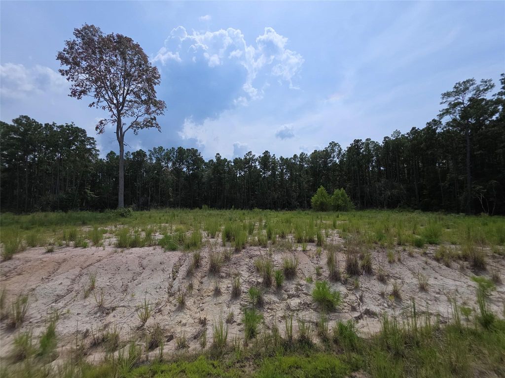 Photo of 139 Rayburn Reserve Drive, Jasper, TX 75931 (MLS # 88539095)