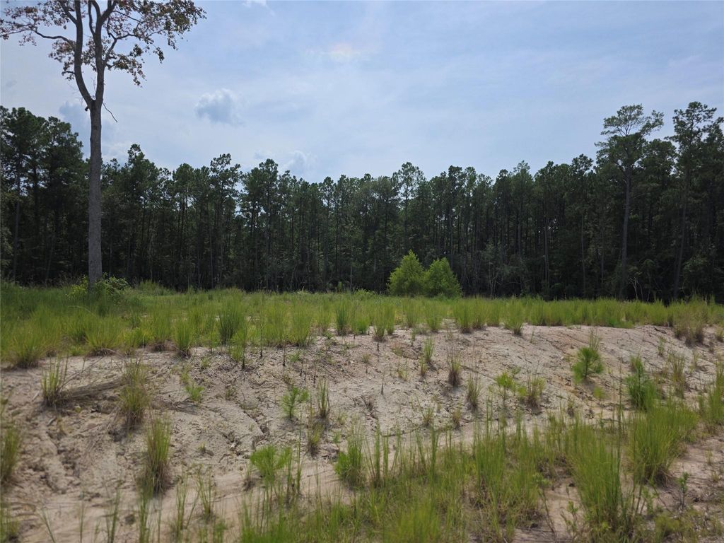 Photo of 139 Rayburn Reserve Drive, Jasper, TX 75931 (MLS # 88539095)