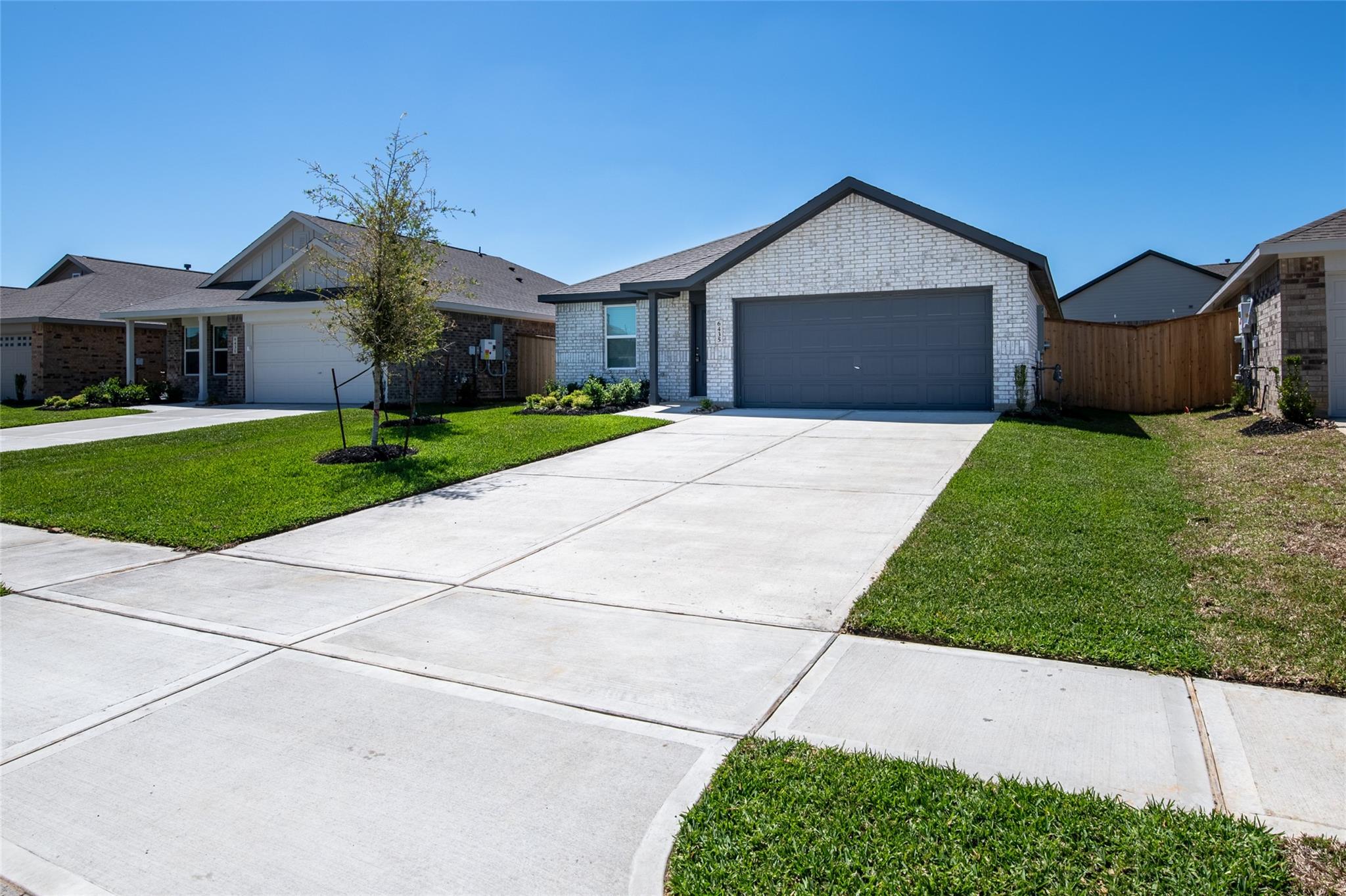 6435 Begonia Trellis Drive