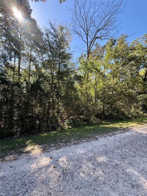 Photo of 5 Golden Leaf, Livingston, TX 77351 (MLS # 55449701)