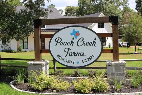 Photo of 120 Quiet Springs Trail, Willis, TX 77378 (MLS # 53876797)