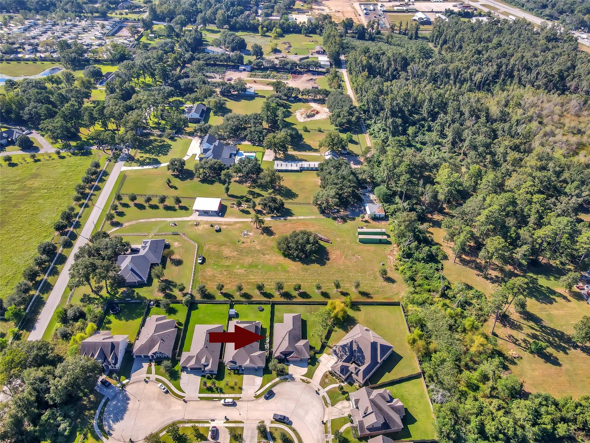 11119 English Holly Court